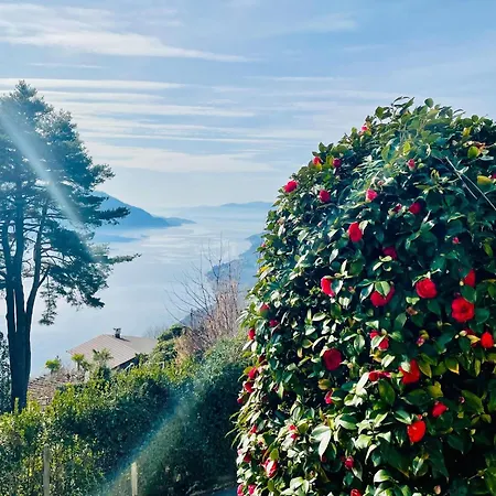 Vakantiehuis Romantic House By Maggiore With Garden *